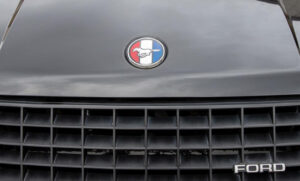 1979-81 Mustang hood emblem