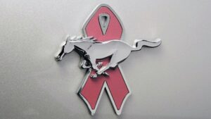 Mustang Warriors in Pink logo