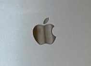 Apple polished logo