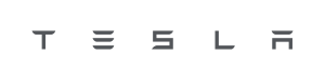 Tesla Wordmark in Cool Grey
