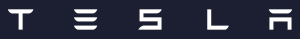 White Wordmark for Tesla