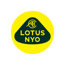 Lotus Cars Emblem in China from 2017 to 2025
