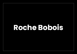 Roche Bobois Featured Image