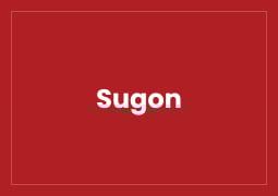 Sugon Featured Image