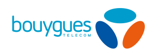 the 2015 Bouygues Telecom Insginia
